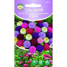 SEEMNED VITA VERDE AEDASTER POMPON