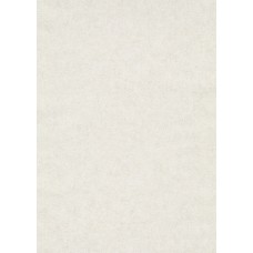TAPEET 1037726 ERISMANN 0.53X10M 25/3
