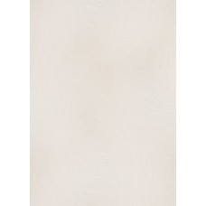 TAPEET 1040314 ERISMANN 0.53X10M 25/3